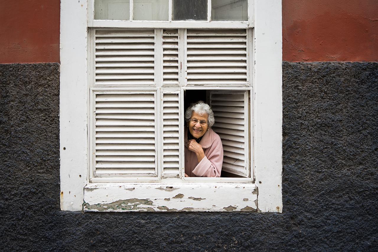 lady, window, woman-3974502.jpg